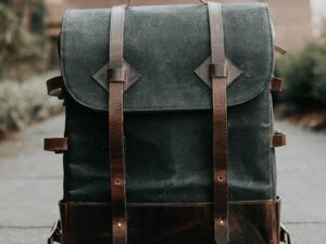 Scelerisque mauris pellentesque pulvinar